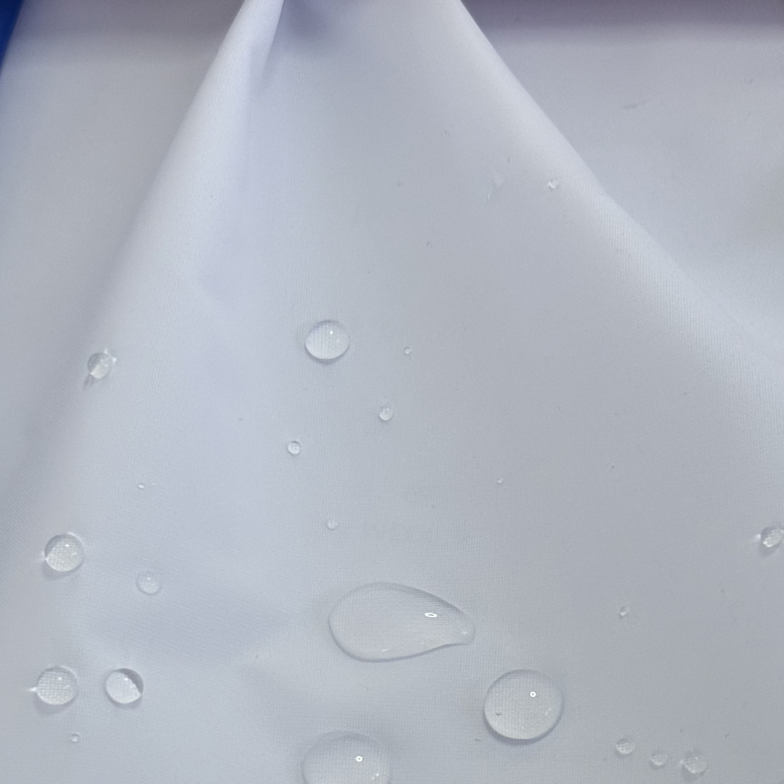 Blanco